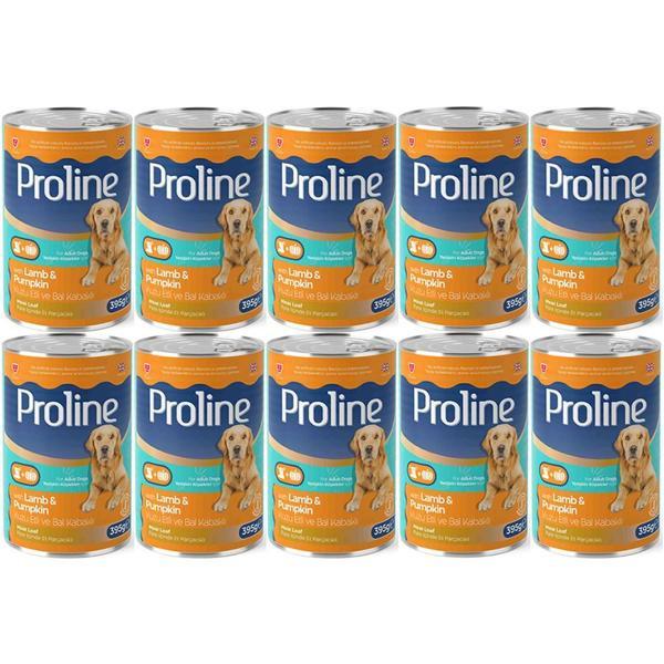 Proline Kuzu Etli ve Bal Kabaklı Yetişkin Köpek Konservesi 395 Gr*10 Adet - Image 1