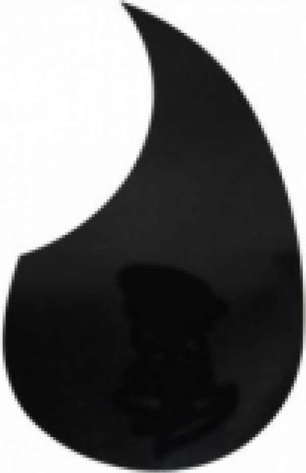 Gitar Pena Korumalığı PG100 - Image 1