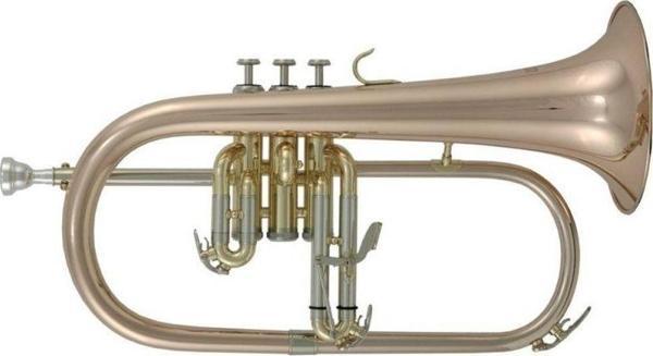 Roy Benson FH-302G Flugelhorn - Image 1