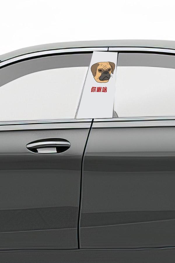 Araç Kapı Direk Kaplama Folyosu Desenli (Sağ Sol Takım) (2 Adet) - 22x50 Cm - Image 1