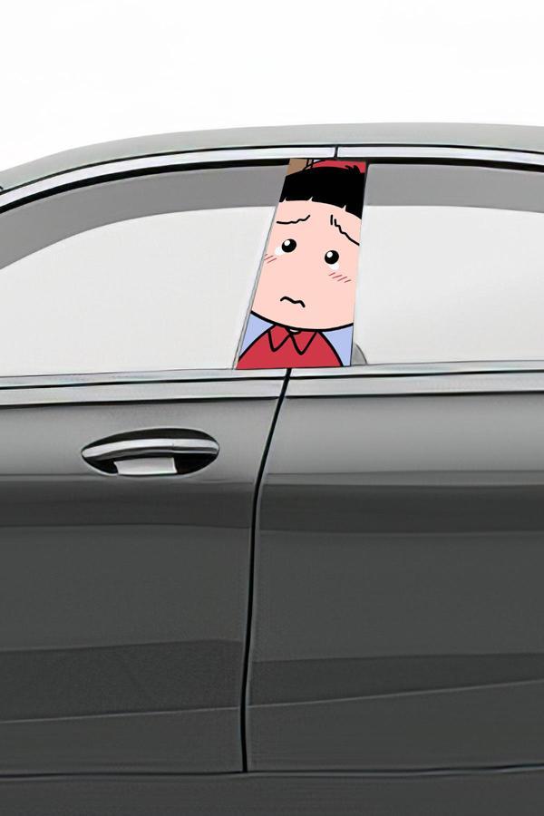 Araç Kapı Direk Kaplama Folyosu Desenli (Sağ Sol Takım) (2 Adet) - 22x50 Cm - Image 1