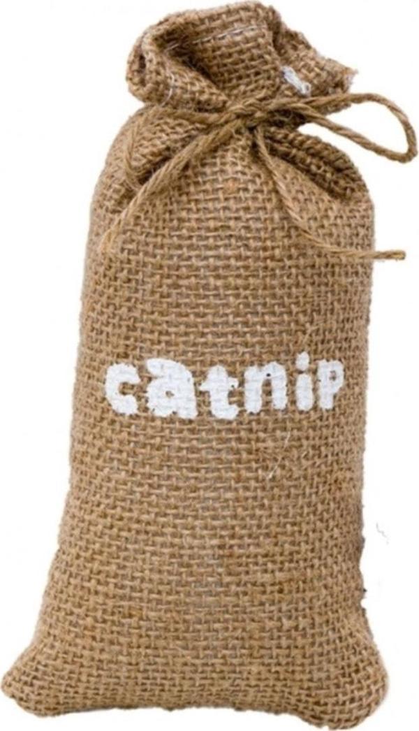 Eastland Catnipli Kedi Çuvalı Kedi Oyuncağı 16X8 Cm - Image 1
