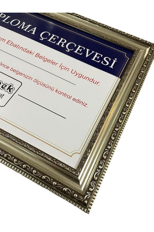 İpek Sanatsal Diploma Çerçevesi Gümüş Renk - Hakiki Camlı Ürün - 25X35,2 Ebatında - Image 1