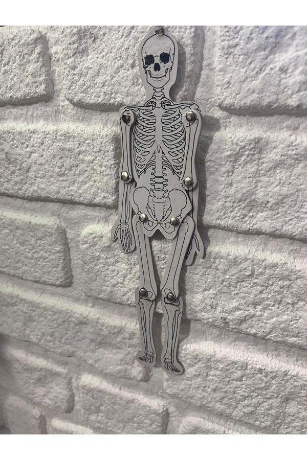 Çıpacı Mini Maket İskelet Dekor Duvar Dekoru - Image 1