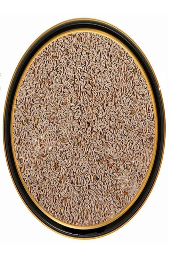 Heybeli Aktar Baharat Karnıyarık Otu Tohumu (Psyllium) 500 Gr - Image 1