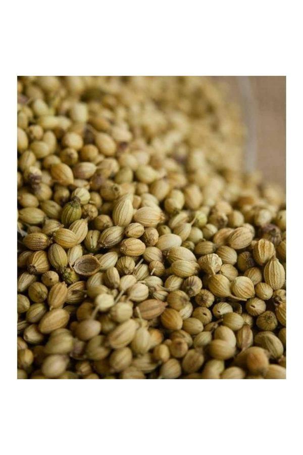 Itır Avm Kişniş Tohumu(Küzbere) Aş Otu 250 Gr - Image 1