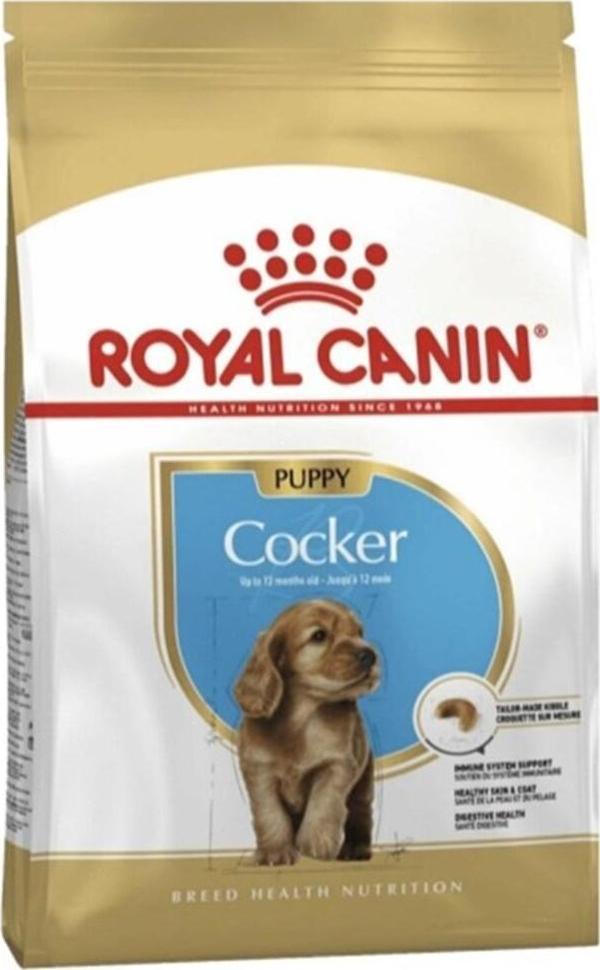 Royal Canin Cocker Junior Yavru Köpek Maması 3 Kg - Image 1