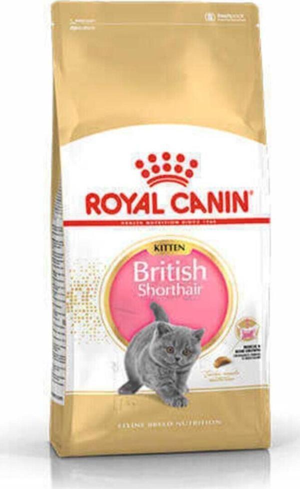 Royal Canin Kitten British Shorthair Yavru Kedi Maması-2 Kg - Image 1