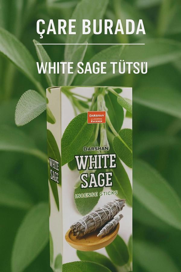 Darshan Incense - White Sage 20'li Çubuk Tütsü - Image 1