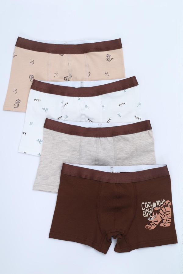 Toontoy Erkek Çocuk Palmiye Ve Hayvan Baskılı 4lü Paket Boxer  - Image 1