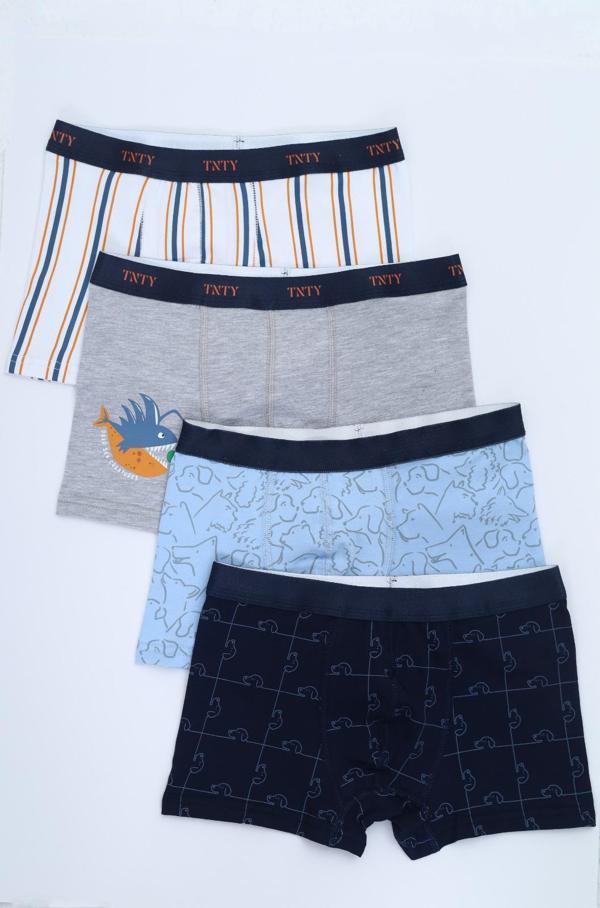 Toontoy Erkek Çocuk Çizgili  Desenli  Baskılı 4lü Paket Boxer  - Image 1