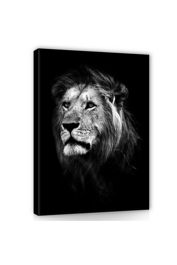 Aslan Leopar Kanvas Tablo - Image 1