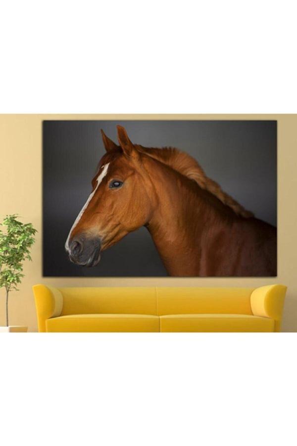 At Resimi, Duvar Sanatı, Oturma, Yatak, Yemek, Ofis Duvarı Kanvas Tablo - Image 1