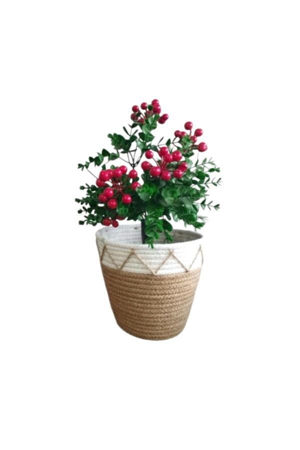 Bayram Taşçıoğlu Home Desing Hasır Sepet Saksılık - Image 1