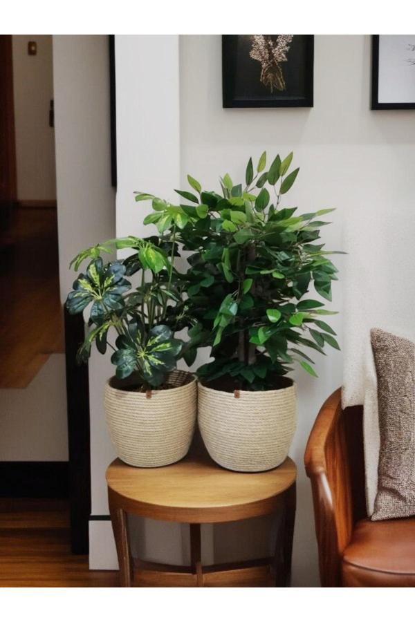 Bayram Taşçıoğlu Home Desing 2 Adet Sepet Saksılık Hediyelik Sepet Çiçeklik Saksılık - Image 1