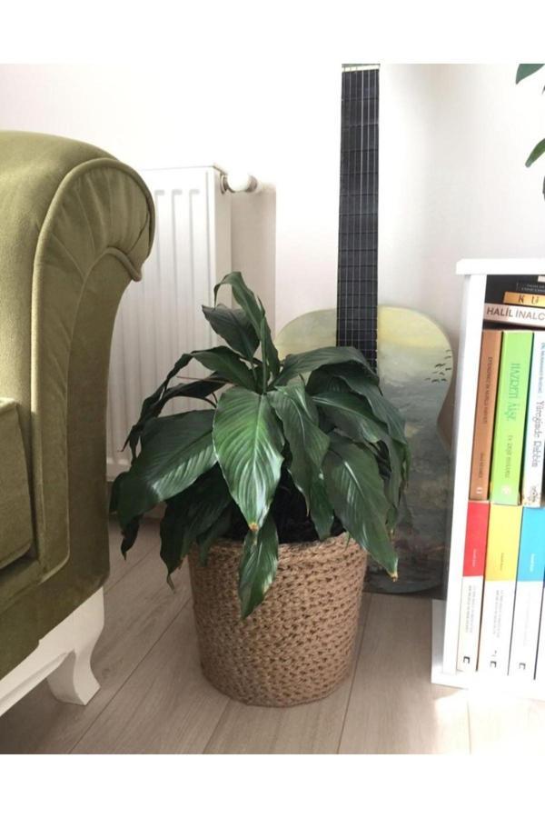 Bayram Taşçıoğlu Home Desing Dikilebilir Hasır Görünümlü Saksı, Saksılık, Hediyelik, Sepet,Hasır Saksı ,Hasır Sepet - Image 1