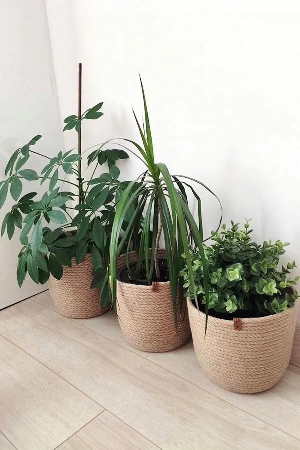 Bayram Taşçıoğlu Home Desing Jüt Hasır Örgü Dekoratif Üçlü Saksı Sepet - Image 1