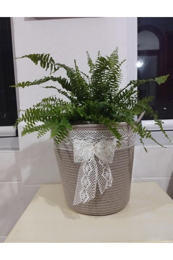 Bayram Taşçıoğlu Home Desing 25X25 Bohem Sepet Saksılık Hediyelik Sepet - Image 1