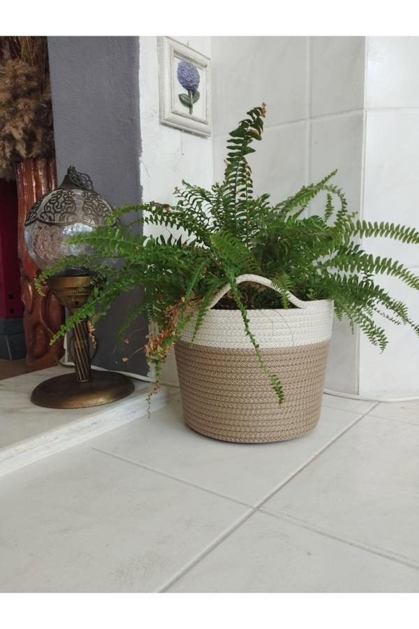 Bayram Taşçıoğlu Home Desing 22X18 Sepet Saksılık Hediyelik Sepet Saksılık - Image 1