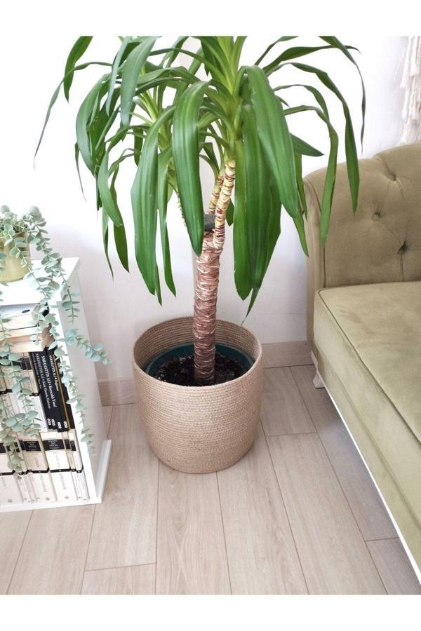 Bayram Taşçıoğlu Home Desing Hasır Sepet Saksılık - Image 1