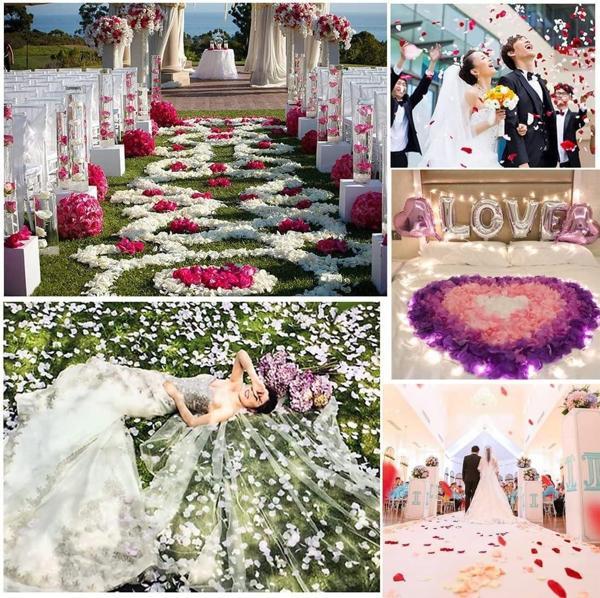 Beyaz Renk Gül Yaprağı Şekilli Konfeti 1 Paket 100 Adet - Image 1