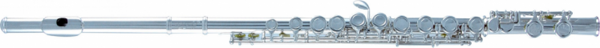 Auster YFL100 Yan Flüt (Taşıma Çantası Dahil) - Image 1