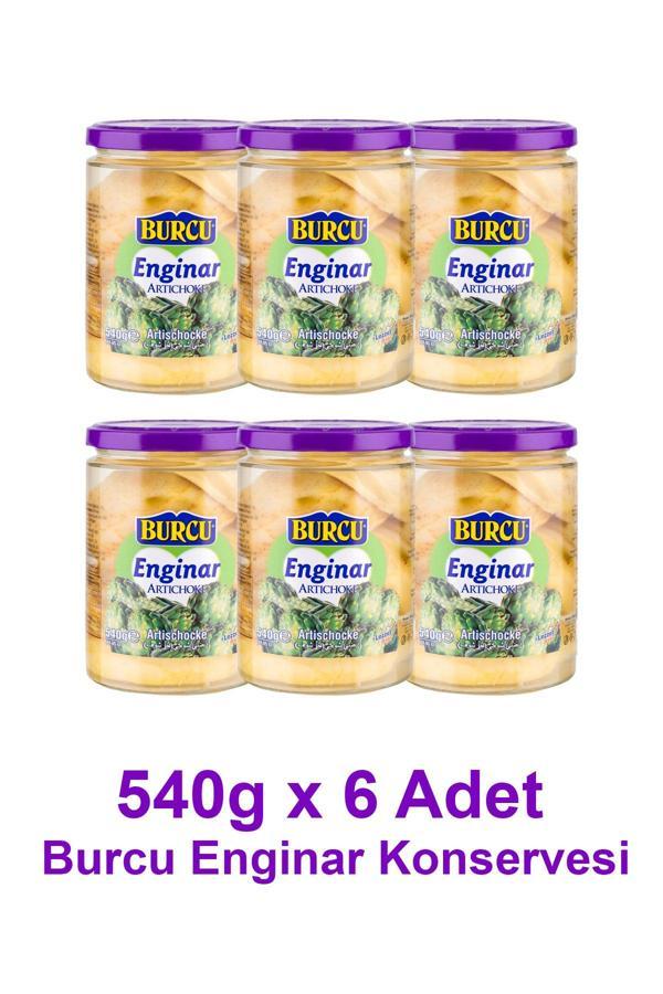 Enginar Konservesi Gramlık 6 Adet - Image 1