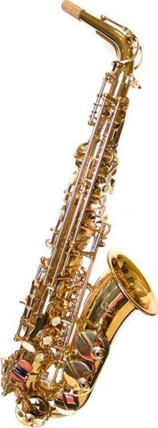 C.G. Conn- Alto Saksafon AS651 - Image 1