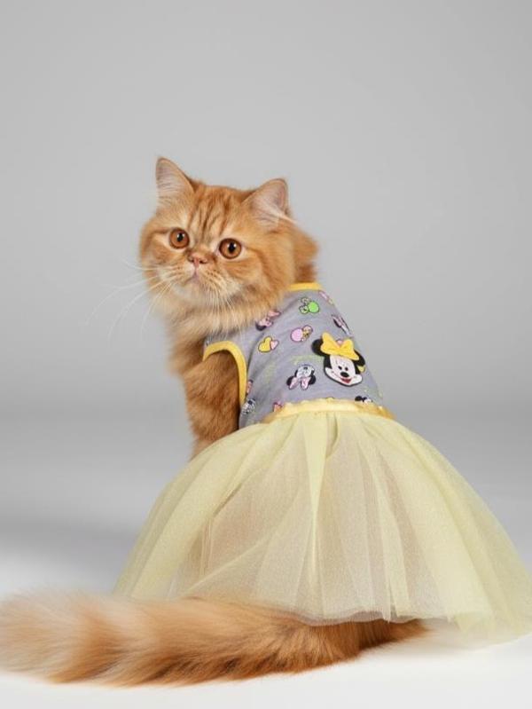 Sevimli Fare Sunny Tütü Kedi Kıyafeti | Sarı Tütülü Elbise | Kediler İçin - Image 1