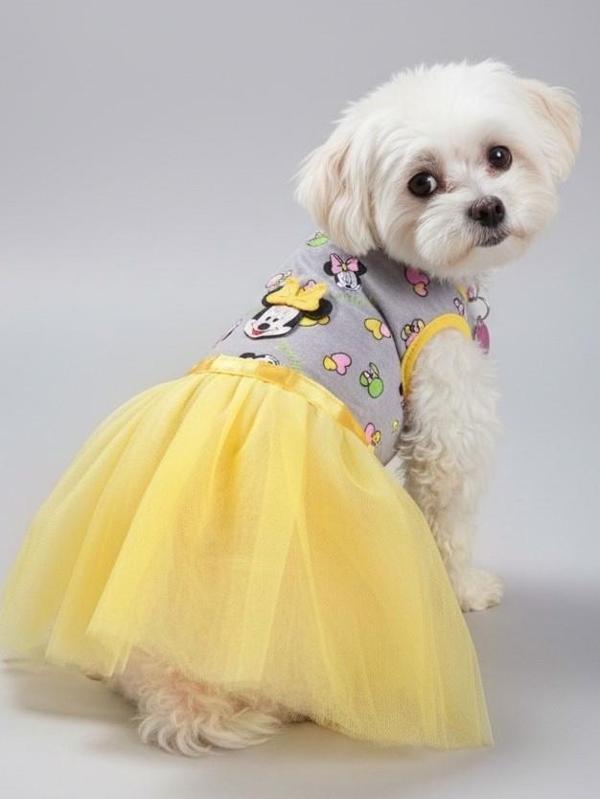 Sevimli Fare Sunny Tütü Köpek Kıyafeti | Sarı Tütülü Elbise | Küçük Irk Köpekler İçin - Image 1