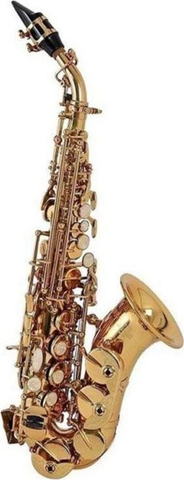 Roy Benson SG-302 Kıvrık Soprano Saksafon - Image 1