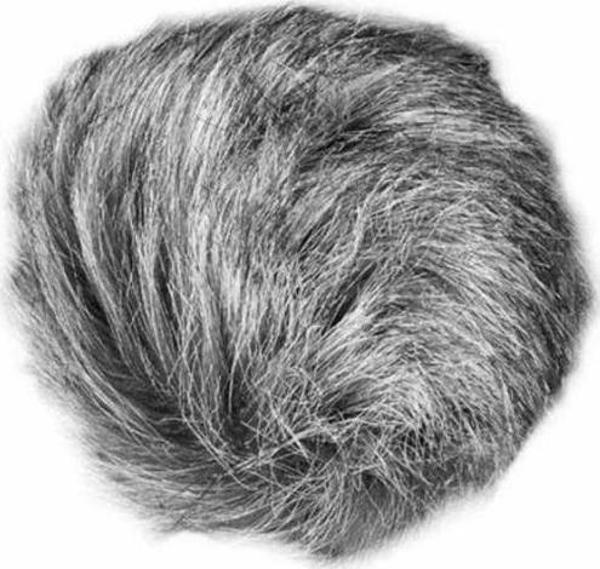 Zoom Mikrofon Universal Windscreen - Image 1