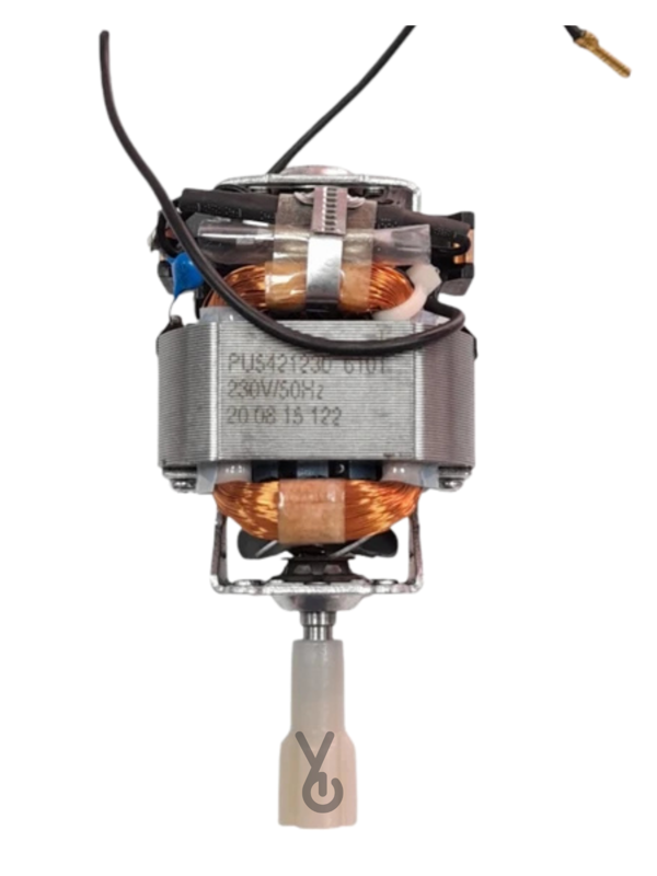 Fakir Capo - Tilia - Lucina Blender Için Motor - Image 1