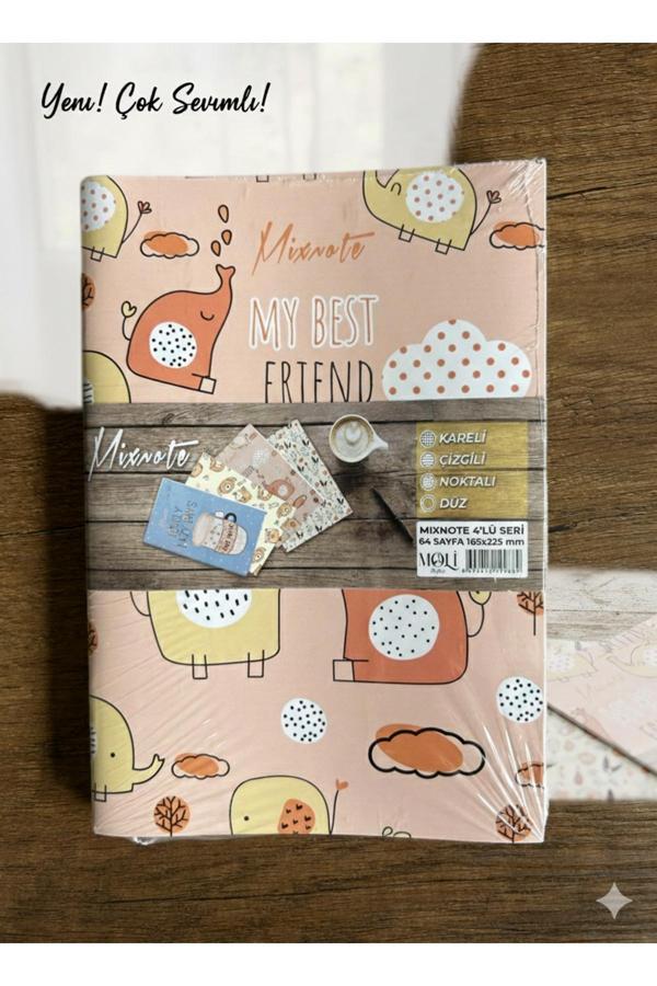 Etit Notebook Moli 4Lü Defter Seti 64 Sayfa 16,5x22,5 - Image 1