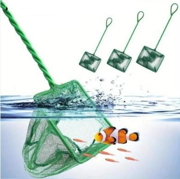 Nessiworld Akvaryum Balık Yakalama Kepçesi 4 inç 10 cm - Image 1