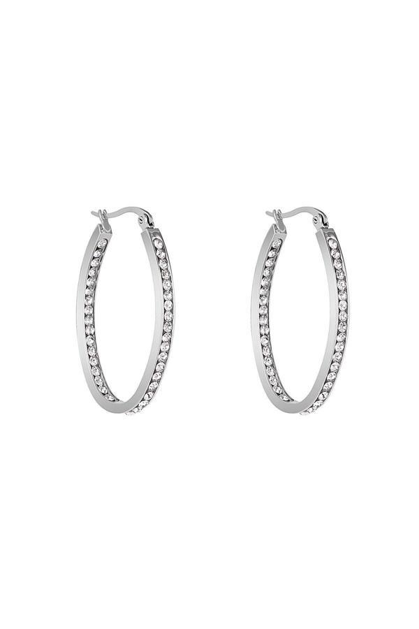 Daniel Klein Orijinal Kadın Çelik Küpe DKJ.12.30001-1 - Image 1