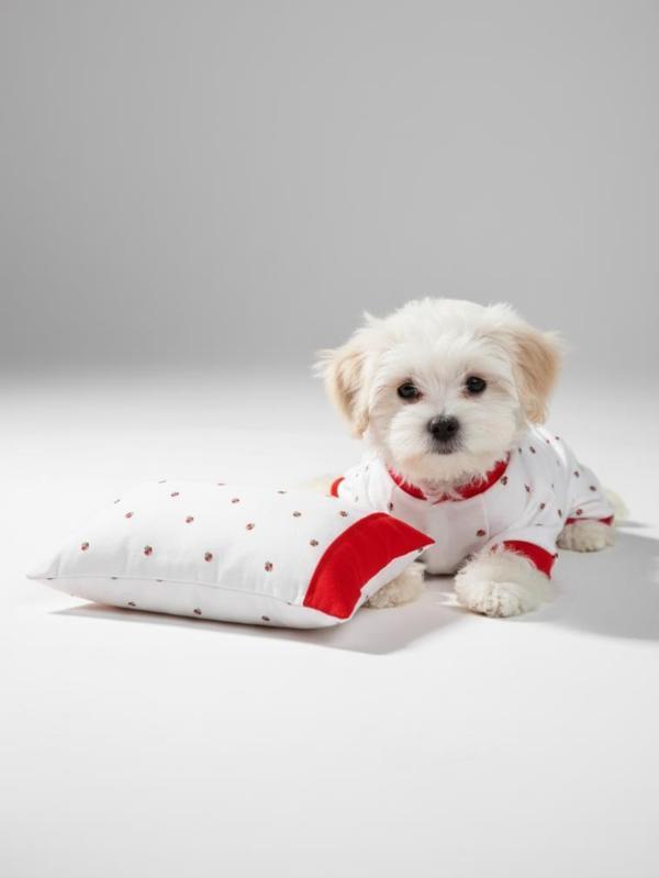 Berry Köpek Uyku Takımı | Pamuklu Penye Köpek Tulumu ve Mini Yastık | Küçük Irklar İçin | Tüy Dökülmesini Azaltır - Image 1