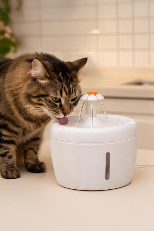 Kedi ve Köpekler İçin Otomatik Su Pınarı Su Çeşmesi - Image 1