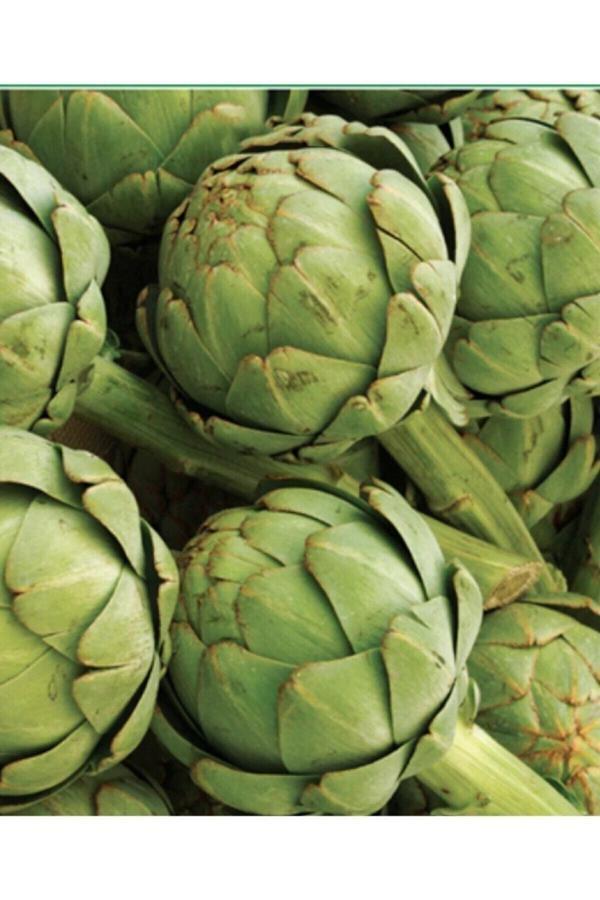 Köy Tohumları 25 Adet Tohum Organik Orjinal Bahçe Enginar Tohumu Geleneksel Tohumu Saksı Toprak Hediyemizdir - Image 1