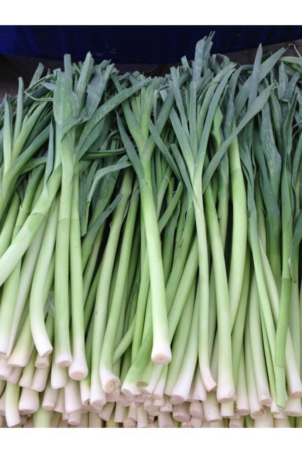 Köy Tohumları 100 Adet Tohum Organik Bahçe Pırasa Prasa Tohumu Hobi Bahçe Acısız Taze Tohum Organik Hediye Tohumlu - Image 1