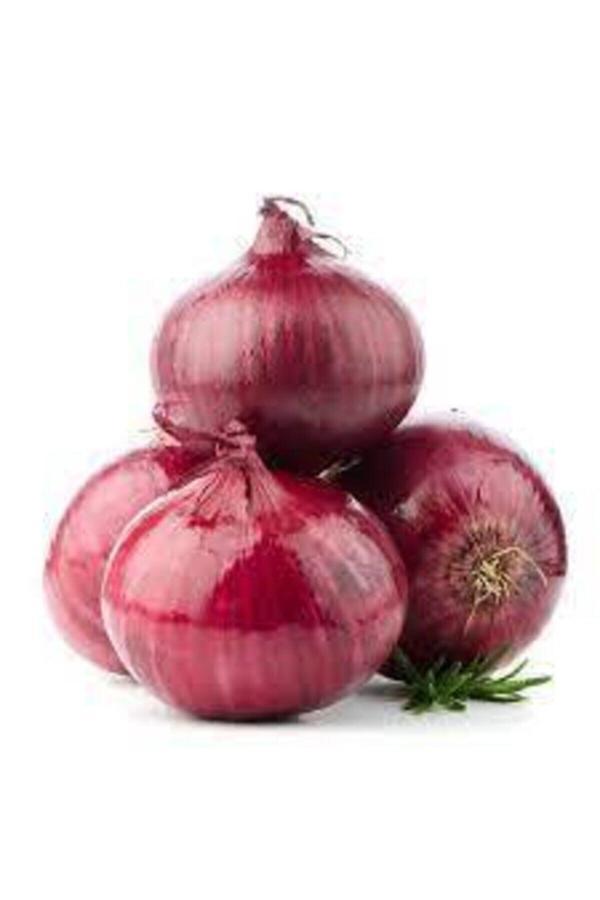 Köy Tohumları 100 Adet Tohum Yeni Hasat Mor Kışlık Soğan Tohumu Organik Taze Tohumlar Hediye Tohum - Image 1