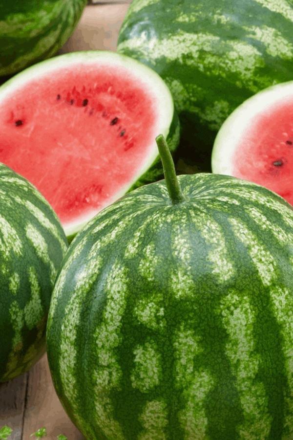 Köy Tohumları 30 Adet Tohum Organik Bahçe Crimson Sweet Karpuz Tohumu Organik Hobi Bahçe Karpuz Tohumu - Image 1