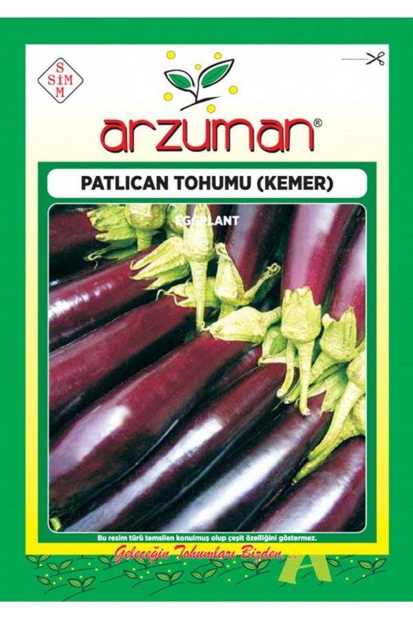 Mevsim Fidancılık Arzuman Kemer Patlıcan Tohumu( 2.000 Adet Tohum) - Image 1