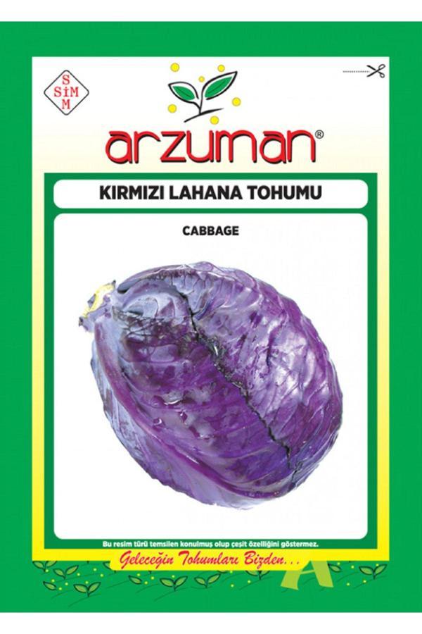 Mevsim Fidancılık Arzuman Kırmızı Lahana Tohumu ( 2.500 Adet Tohum) - Image 1