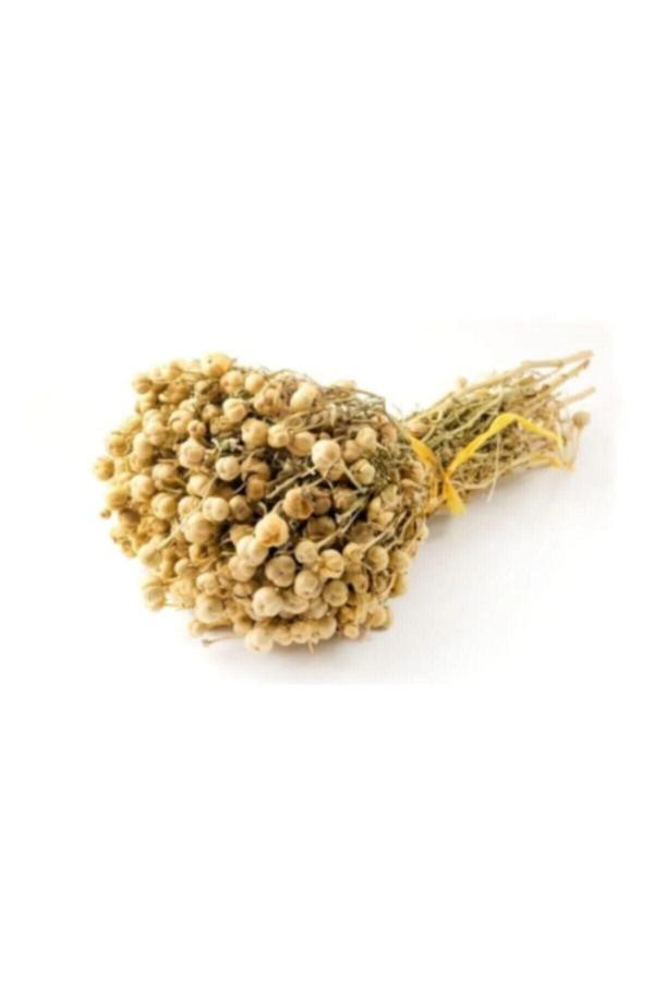 Köy Tohumları 5 Adet Organik Dağ Tütsü Egzotik Doğal Dağ Tütsüsü Yeni Mahsul - Image 1