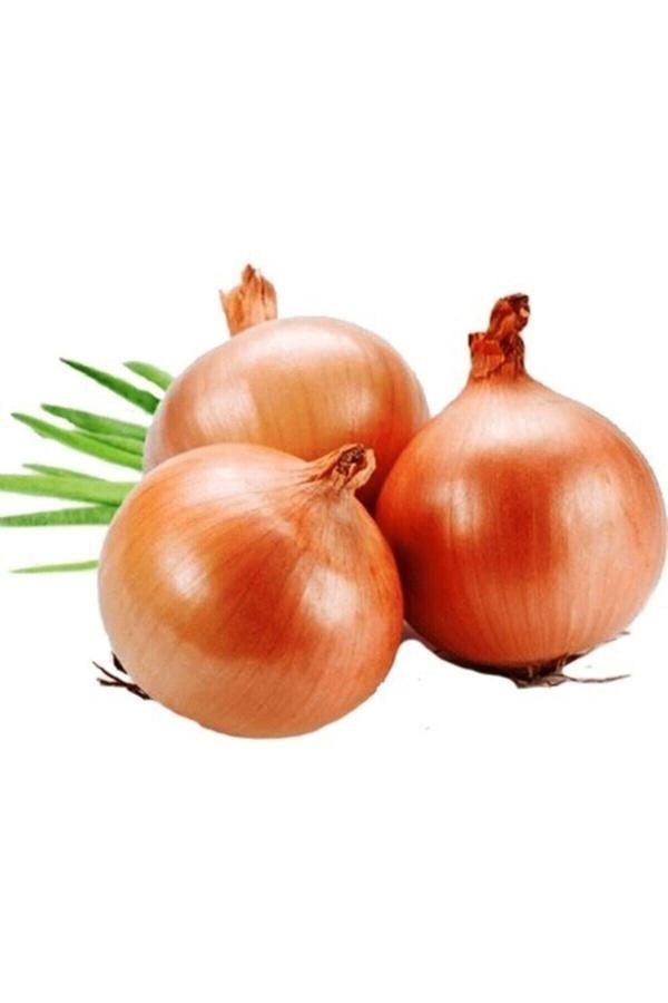 Köy Tohumları 200 Adet Organik Kuru Soğan Tohumu Yeni Hasat Tohum Yeni Doğal Tohumlar Hediye Tohumlu - Image 1