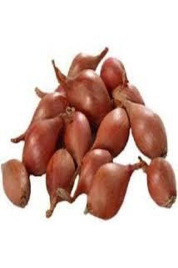 Köy Tohumları 100 Adet Tohum Eko Paket Kıska Soğan Tohum Soğan Tohum Soğan Kıska Tohum Sürpriz Hediye Sebze Tohum - Image 1