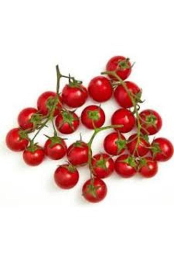 Köy Tohumları 50 Adet Tohum Organik Hobi Bahçe Mini Bezelye Domates Saksı Toprak Hediyelidir - Image 1