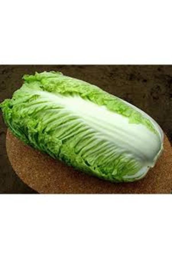 Köy Tohumları 20 Adet Tohum İthal Çin Marol Marul Tohumu Organik Köy Tohumu Hediye Tohumlu - Image 1