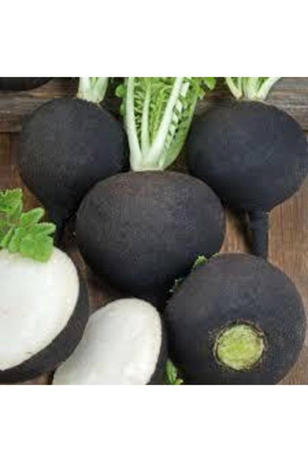 Köy Tohumları 20 Adet Tohum Siyah Turp Tohumu Ata Tohum Siyah Turp Tohumu - Image 1